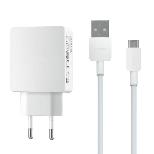 Charger 100-240V microUSB